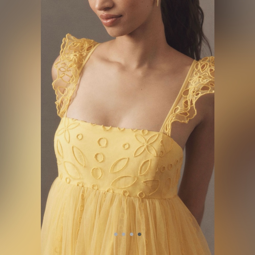 Anthropologie Let Me Be Eyelet Tulle Mini Dress NWT! - Picture 14 of 16